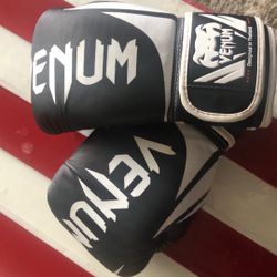 Venom Boxing Gloves 