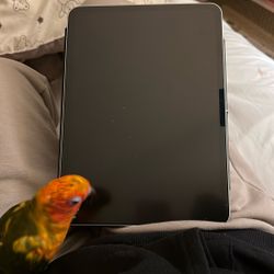 iPad Pro Silver M4 11 Inch Standard Screen Apple