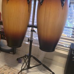 LP BONGOS