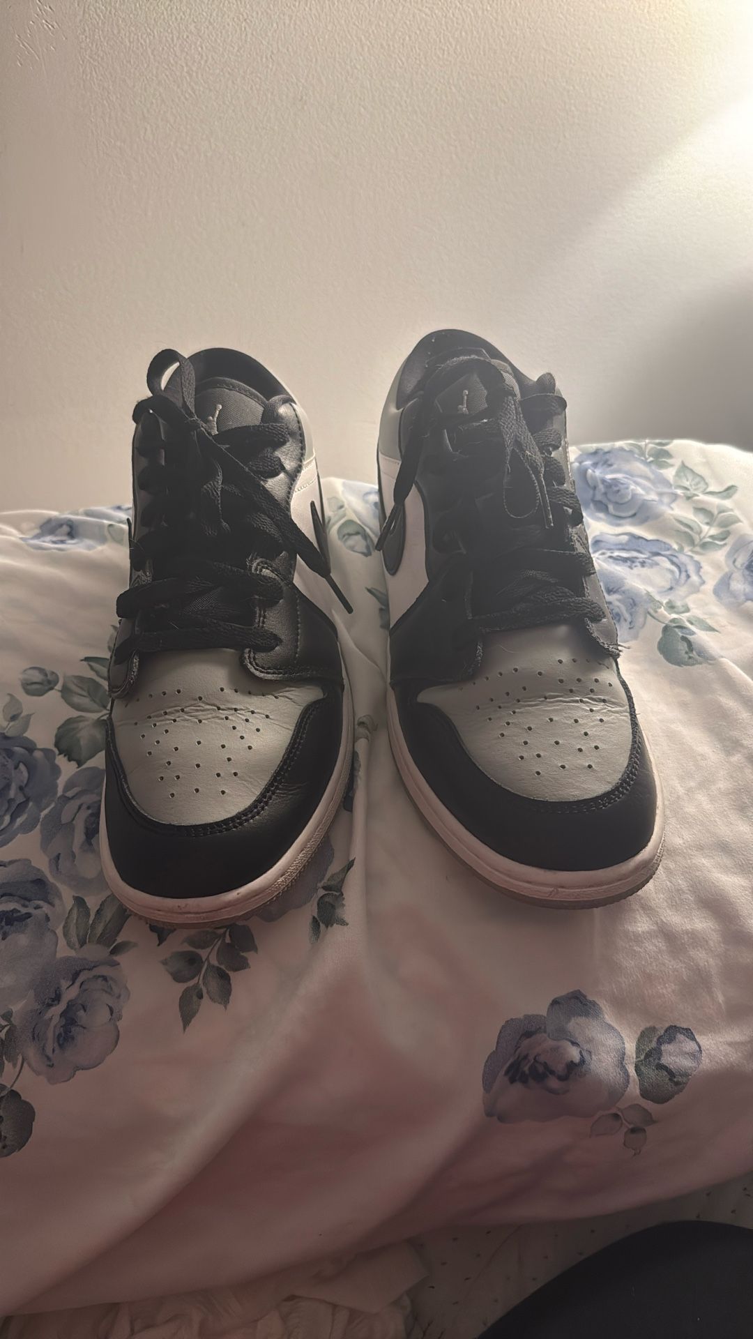 Air Jordan 1 Low Shadow Toe