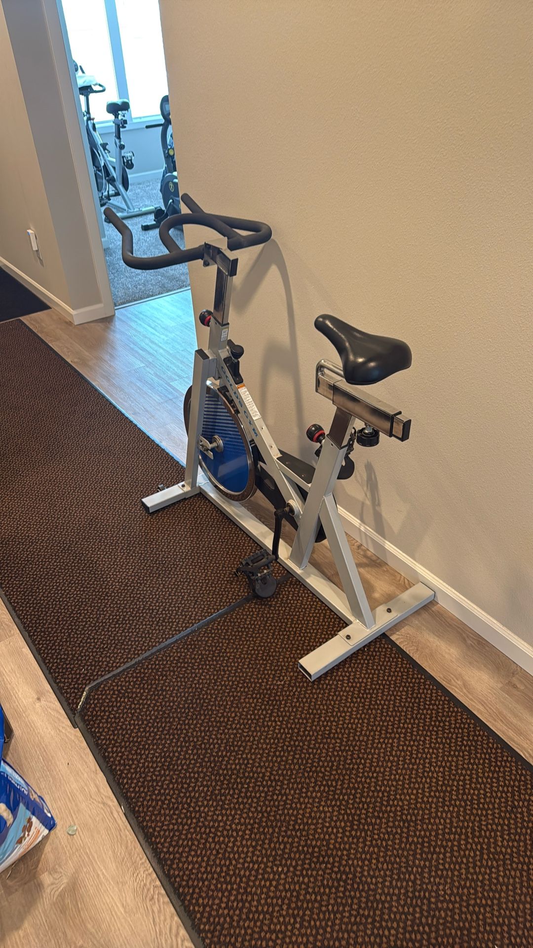 Golds Gym Exercise Bike