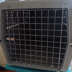 PET TAXI