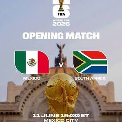 Mexico Vs South Africa World Cup game section 114