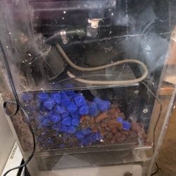 AQUARIUM, OVERFLOW Pump
