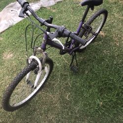 Mountain Bike