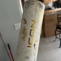 Baseball Bat