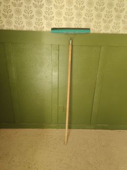 Carpet brush