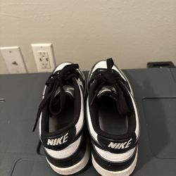 Dunks Shoes