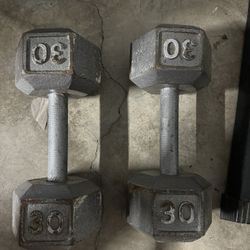 30 Pound Dumbbells 