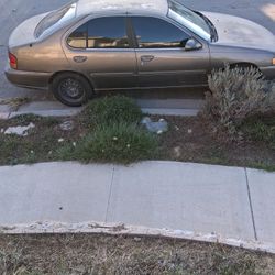 1998 Nissan Altima 