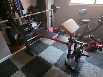 Workout Bench, preacher curl, leg lift