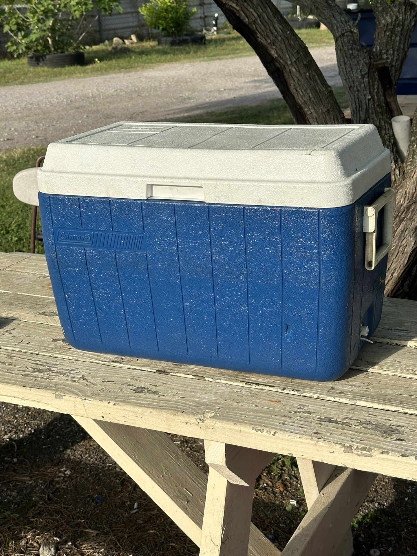 Coleman Cooler