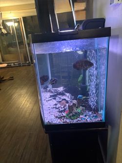 Glass Fish Tank Aquarium with LED Light