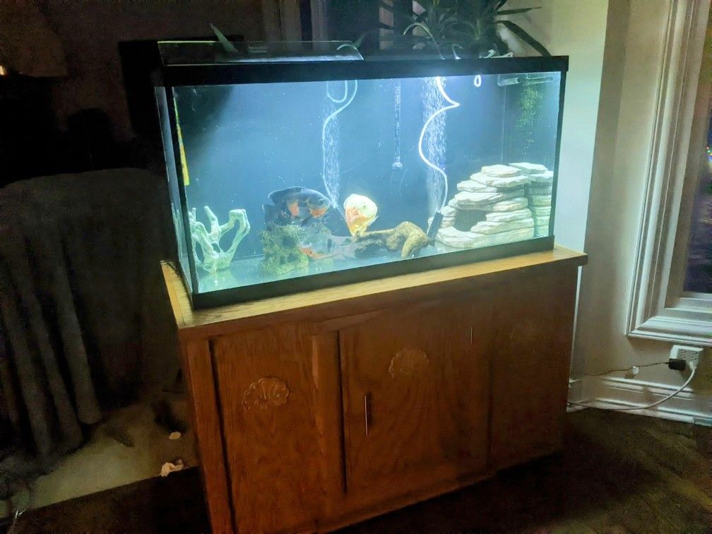 90 Gallon Aquarium with Base