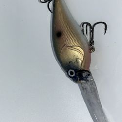 Custom Painted Lucky Craft Golden Shimmer Shad 