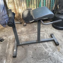 Abs and Back Sit Up Workout Bench (Roman Chair)