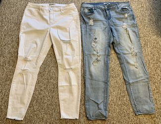 Refuge + Women’s Jeans Size 16 Plus 