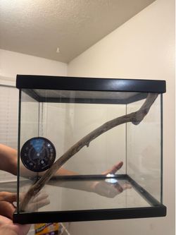 Tank