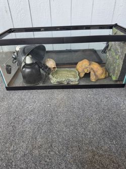 Reptile tank, hide, lamps