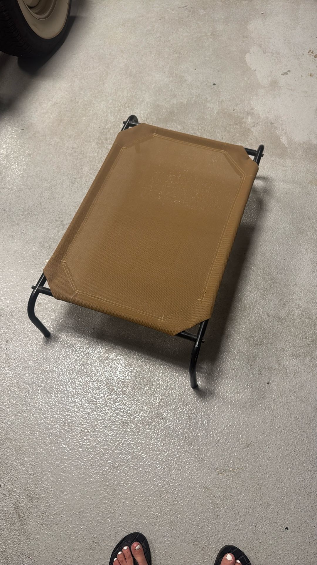 Dog Bed Never Used 