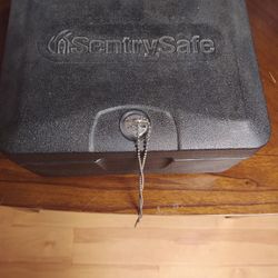 Sentry safe Lock Box