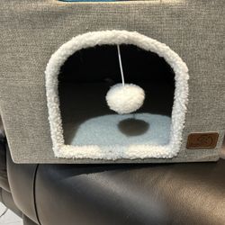 Cat House 