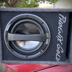 Phoenix Gold 10” Sub With Built In Amplifier