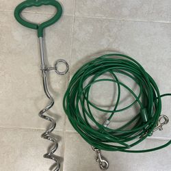 Lots Of Dog Supplies