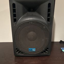 15 inch speaker
