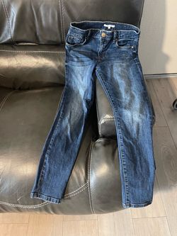 Dark Wash Skinny Jeans STS BLUE