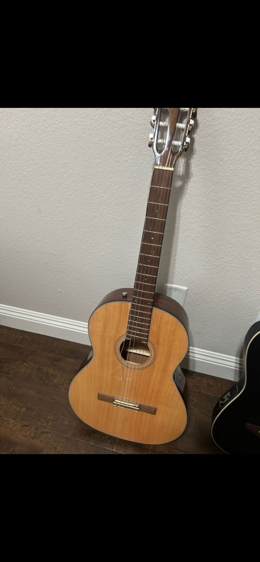 Fender Guitar