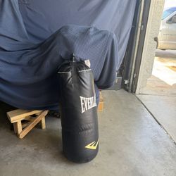 Everlast Punching Bag 80Ibs 