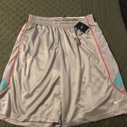 Nike Brand New Shorts XXL