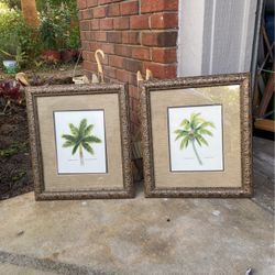Pair Of Palm Trees Framed Art