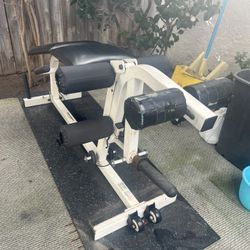 Leg Extension Leg Curl Hamstring and Quads Bodysmith From Parabody