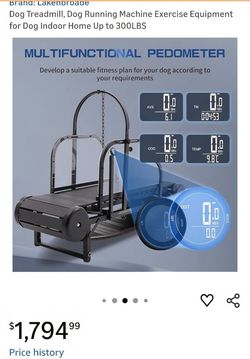Dog Treadmill
