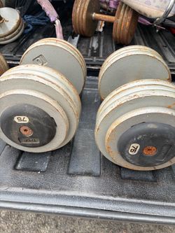 75 pound dumbbell pair