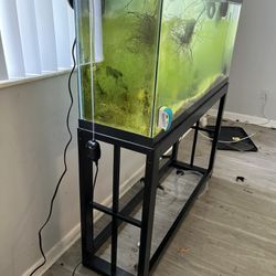55 Gal Fish tank 