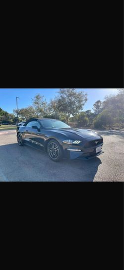 Mustang 2021