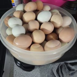 Eggs 