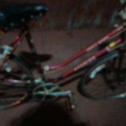 Schwinn World Sport(vintage