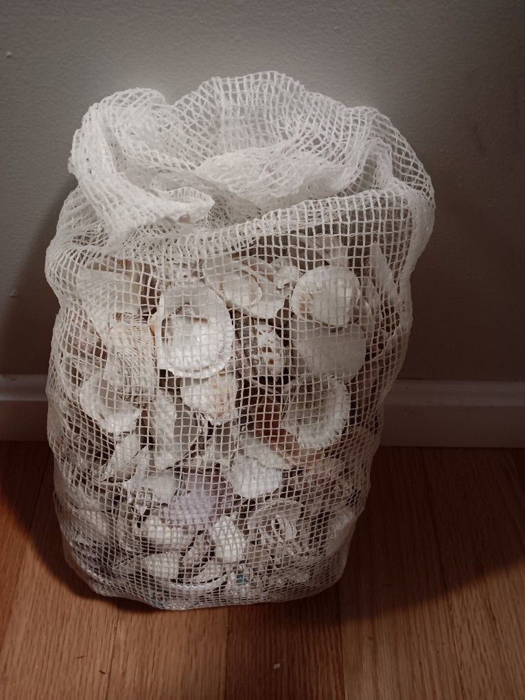 Bag Of Sea Shells