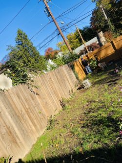 Fences Paint