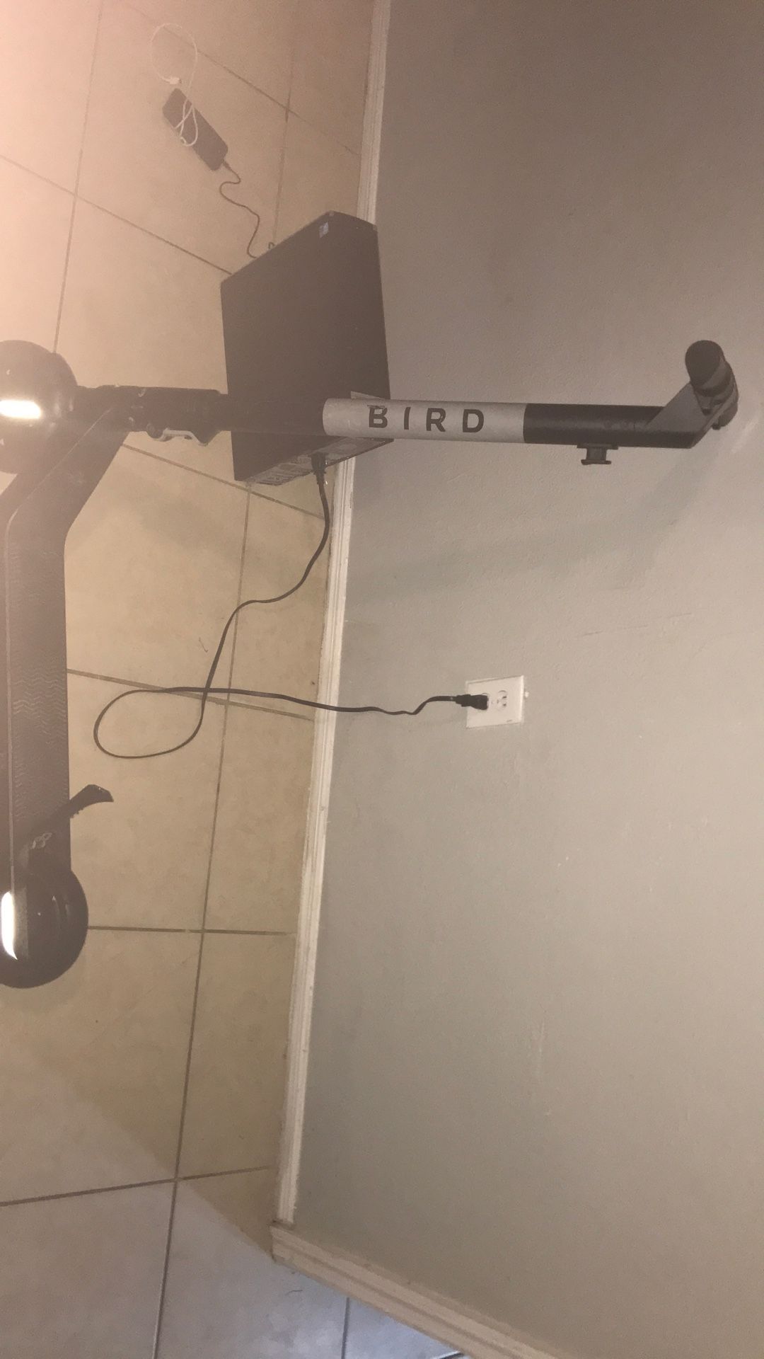 Bird electric scooter