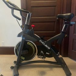 Cyclace Exercise Spin Bike
