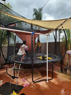 Trampoline with Enclosure and Ladder