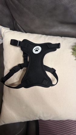 Small dog Harness