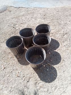 Black Plastic Nursery Pots Set of 5
