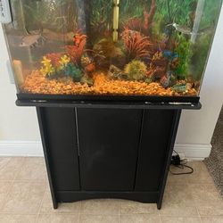 37 Gallon Fish Tank With Stand