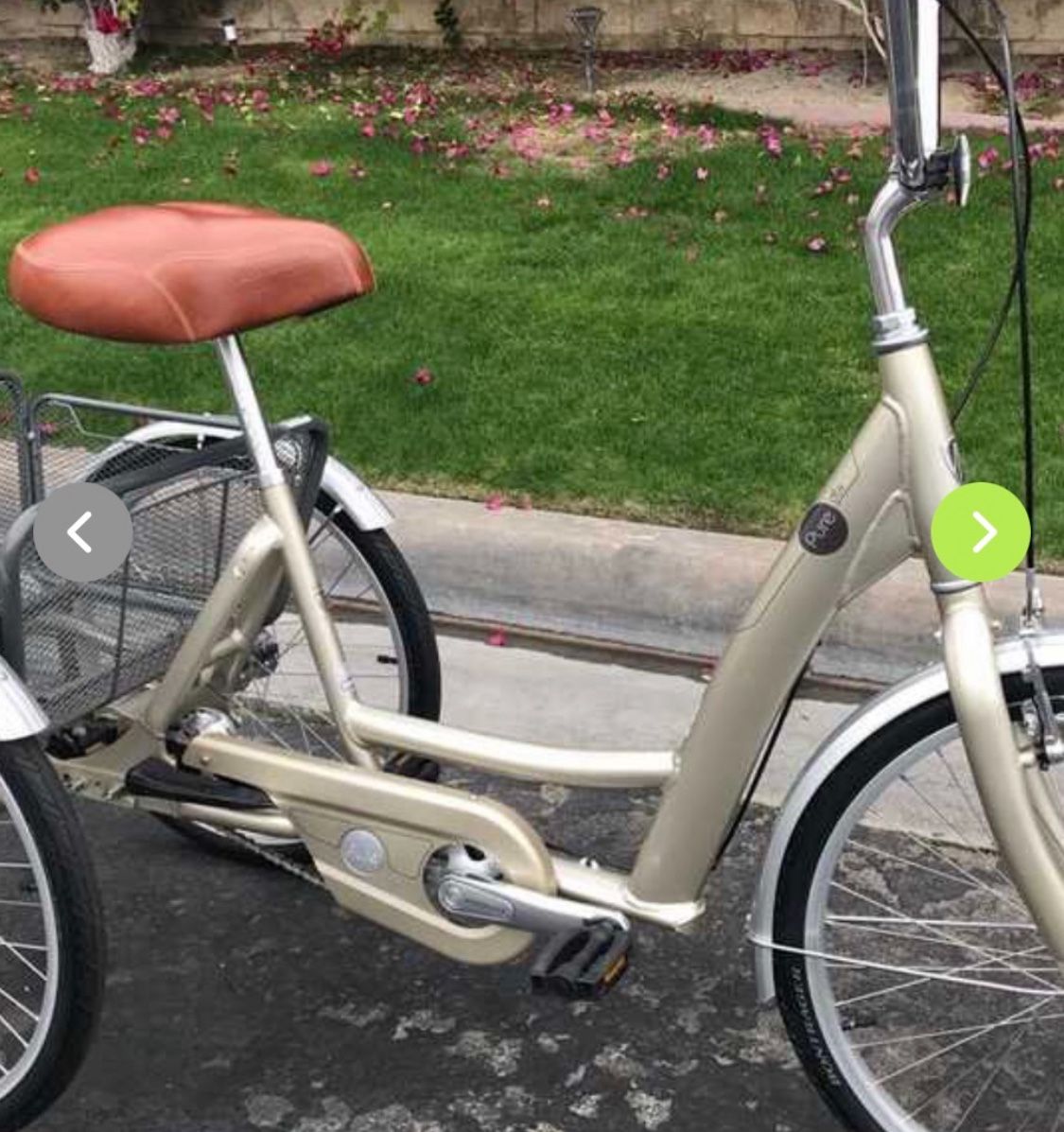 Trex Pure Deluxe Trike